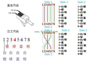 网线水晶头T586A与T586B接法图解及制作步骤